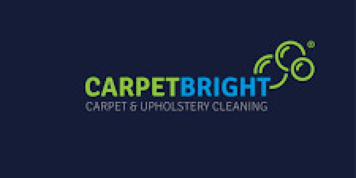 Carpet Cleaning Services for Properties With Active Households
