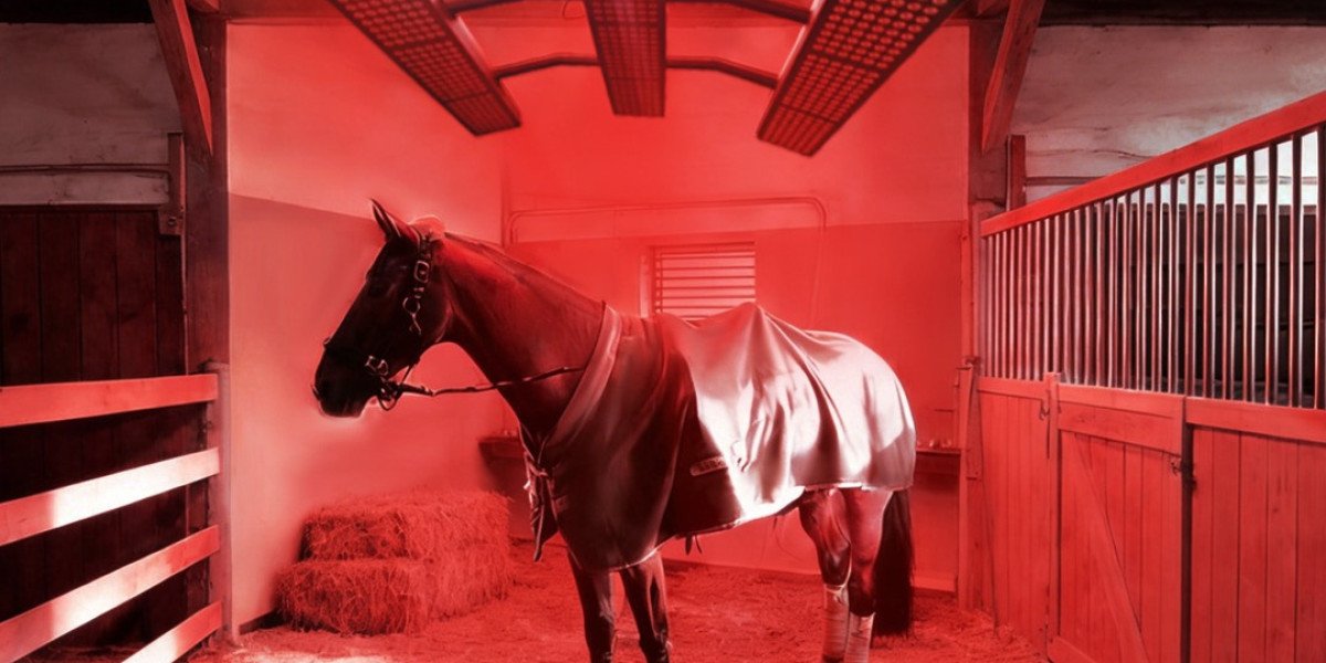 Maximize Your Horse’s Recovery with a Red Light Therapy Blanket
